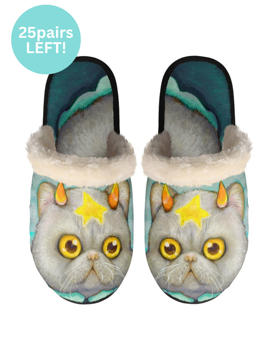 Pair of slippers with a cat design