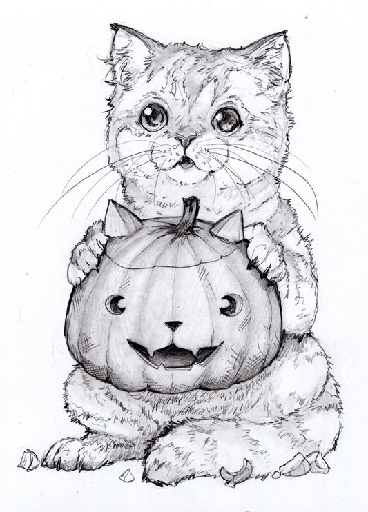 Paws and Pumpkins