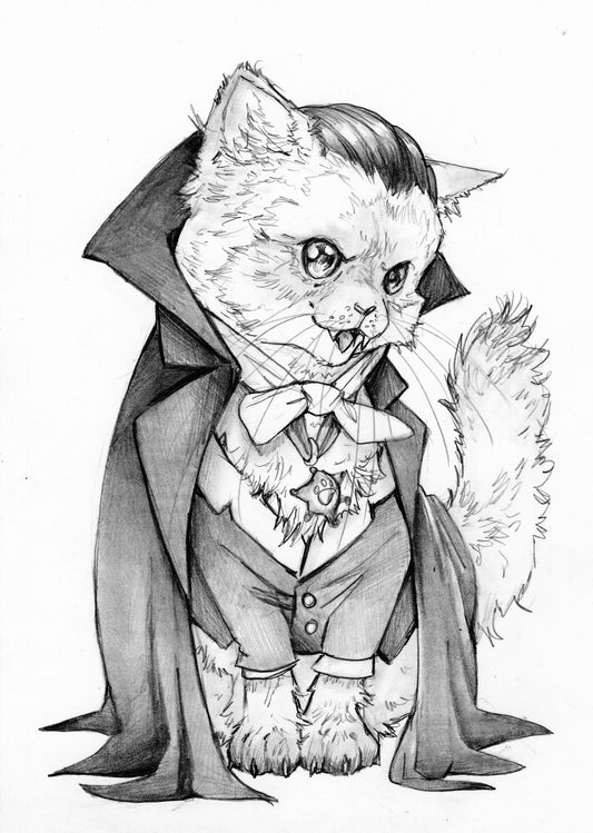 Count Catula