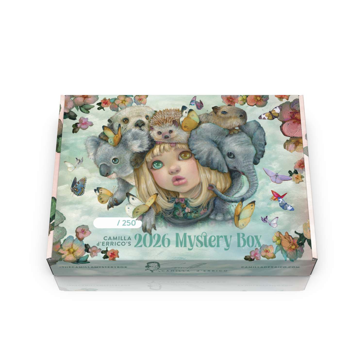 Caja misteriosa 2025