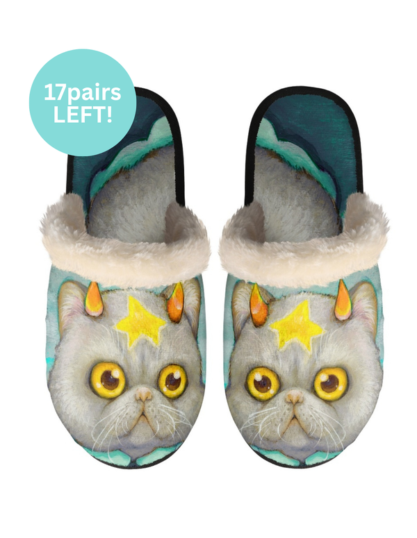 Pair of slippers with a cat design