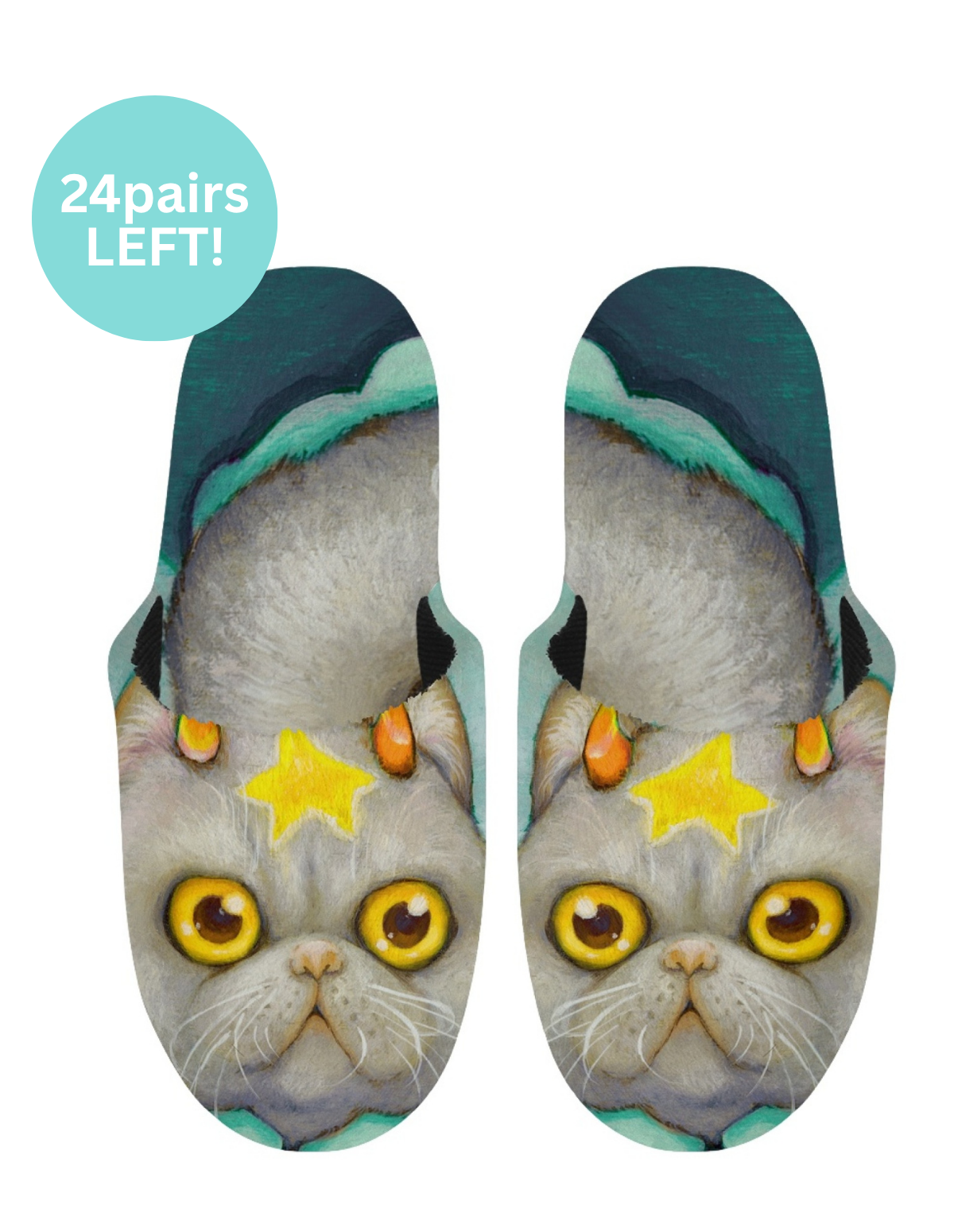 Pair of slippers with a cat design 