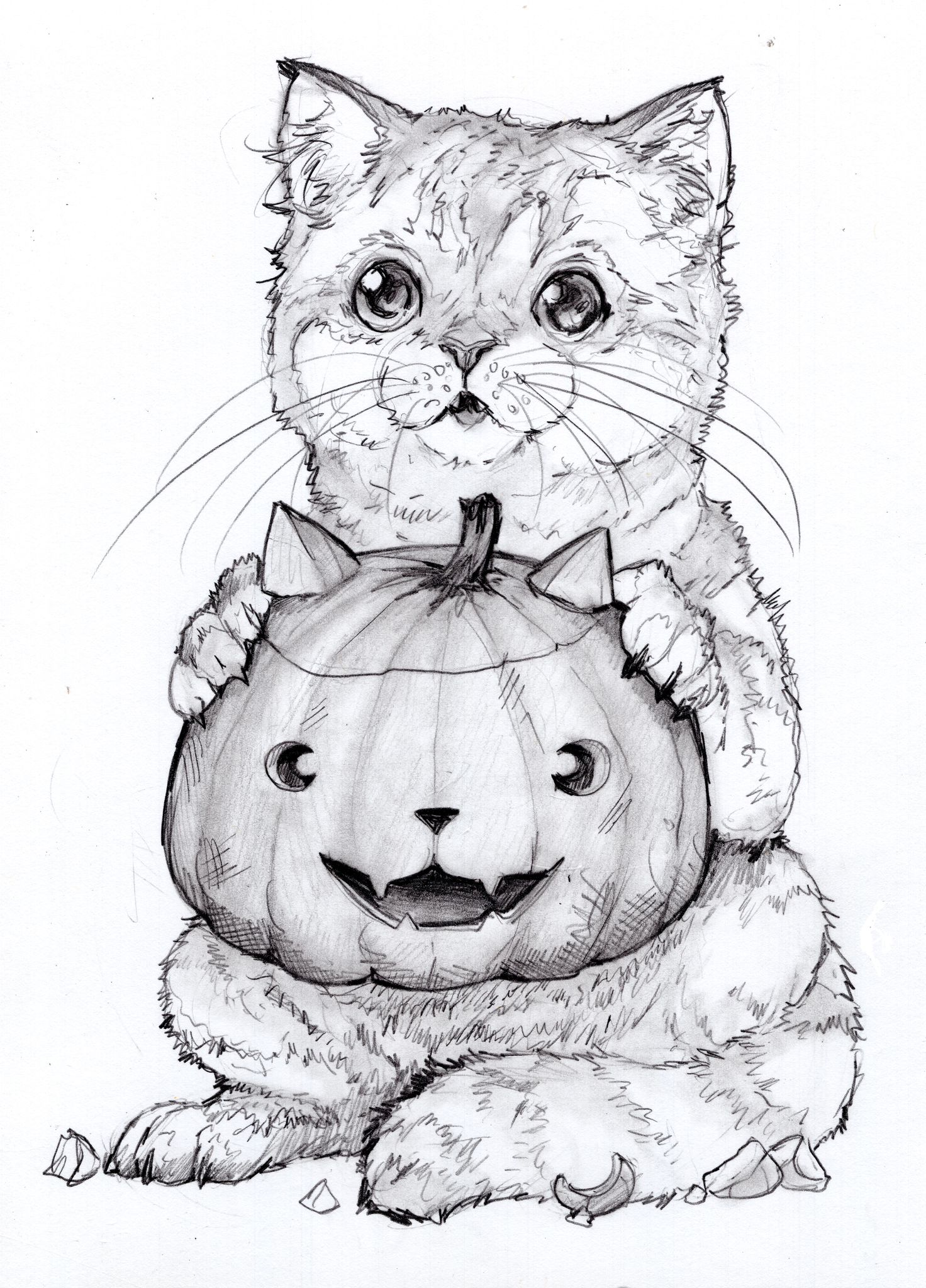 Paws and Pumpkins