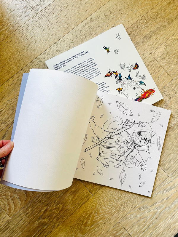 ✨PRE-ORDER ✨ Pop Manga Paint & Ink Coloring Book