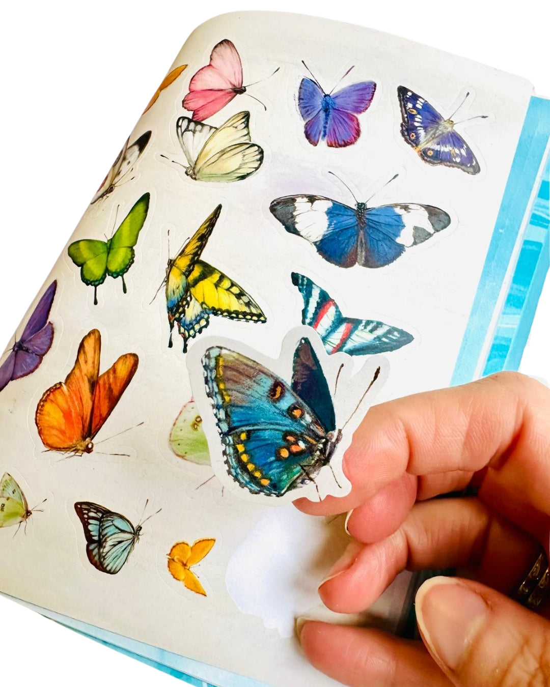 Pop Manga Stickerology