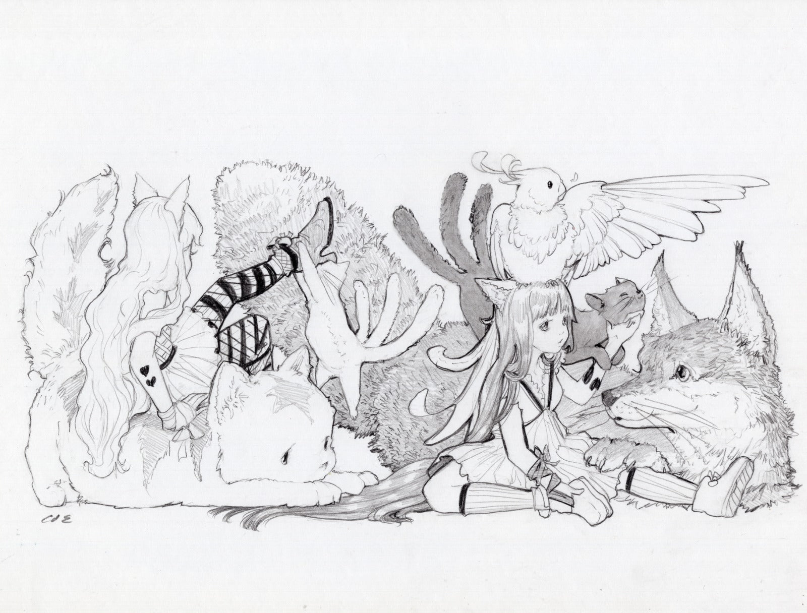 Feathery Flocks of Friends