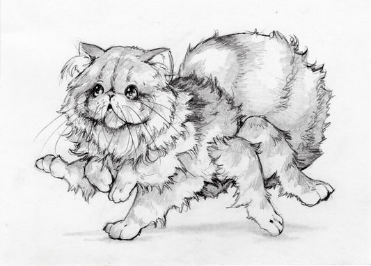 Tarantulacat